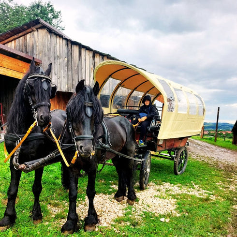 Plimbare cu trăsura - zona Bran